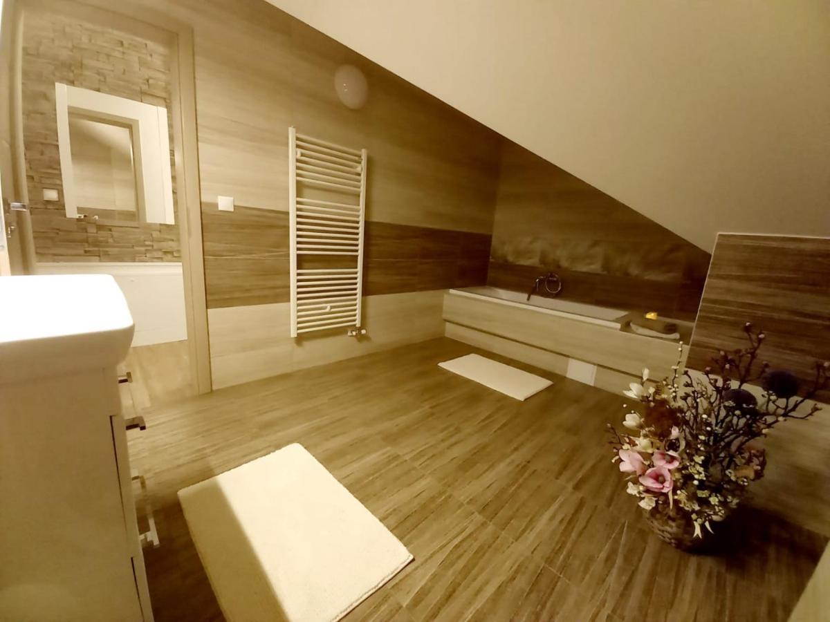 Apartman Pod Sivym Vrchom ツベレツ エクステリア 写真