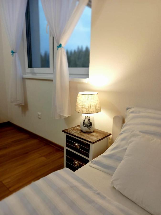 Apartman Pod Sivym Vrchom ツベレツ エクステリア 写真